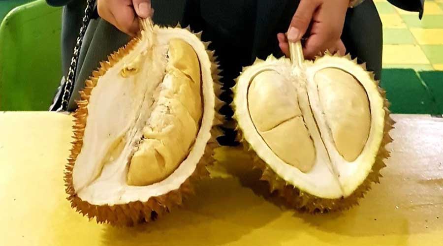 Datang Ke Medan Jangan Lupa Nikmati Lezatnya  Ucok Durian